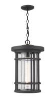 One Light Outdoor Chain Mount Ceiling Fixture by Z-Lite - Jordan Collection, Oil Rubbed Bronze Finish - 570CHXL-ORB