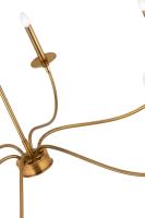 Six Light Chandelier by Z-Lite - Arrington Collection, Rubbed Brass Finish - 2301-42RB