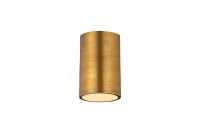 One Light Flush Mount by Z-Lite - Harley Collection, Rubbed Brass Finish - 2302F1-RB