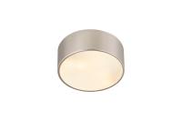 Two Light Flush Mount by Z-Lite - Harley Collection, Brushed Nickel Finish - 2302F2-BN