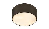 Two Light Flush Mount by Z-Lite - Harley Collection, Bronze Finish - 2302F2-BRZ