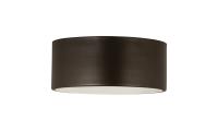 Two Light Flush Mount by Z-Lite - Harley Collection, Bronze Finish - 2302F2-BRZ