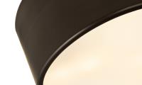 Two Light Flush Mount by Z-Lite - Harley Collection, Bronze Finish - 2302F2-BRZ