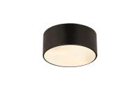 Two Light Flush Mount by Z-Lite - Harley Collection, Matte Black Finish - 2302F2-MB