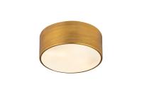 Two Light Flush Mount by Z-Lite - Harley Collection, Rubbed Brass Finish - 2302F2-RB