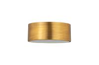 Two Light Flush Mount by Z-Lite - Harley Collection, Rubbed Brass Finish - 2302F2-RB