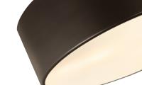 Three Light Flush Mount by Z-Lite - Harley Collection, Bronze Finish - 2302F3-BRZ