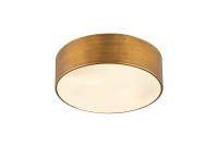 Three Light Flush Mount by Z-Lite - Harley Collection, Rubbed Brass Finish - 2302F3-RB