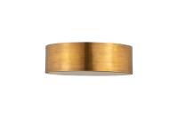 Three Light Flush Mount by Z-Lite - Harley Collection, Rubbed Brass Finish - 2302F3-RB