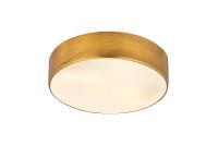 Four Light Flush Mount by Z-Lite - Harley Collection, Rubbed Brass Finish - 2302F4-RB