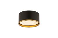 Two Light Flush Mount by Z-Lite - Arlo Collection, Matte Black + Rubbed Brass Finish - 2303F2-MB-RB