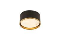 Two Light Flush Mount by Z-Lite - Arlo Collection, Matte Black + Rubbed Brass Finish - 2303F2-MB-RB