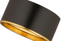 Two Light Flush Mount by Z-Lite - Arlo Collection, Matte Black + Rubbed Brass Finish - 2303F2-MB-RB