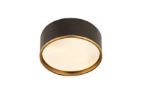 Three Light Flush Mount by Z-Lite - Arlo Collection, Matte Black + Rubbed Brass Finish - 2303F3-MB-RB