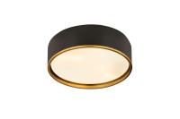 Four Light Flush Mount by Z-Lite - Arlo Collection, Matte Black + Rubbed Brass Finish - 2303F4-MB-RB