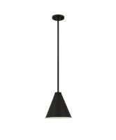 One Light Pendant by Z-Lite - Eaton Collection, Matte Black Finish - 6011P12-MB