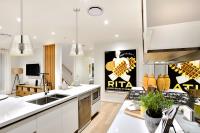 One Light Pendant by Z-Lite - Maddox Collection, Polished Nickel Finish - 6013-12PN