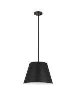 One Light Chandelier by Z-Lite - Maddox Collection, Matte Black Finish - 6013-18MB
