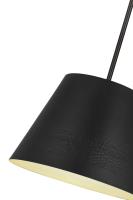 One Light Chandelier by Z-Lite - Maddox Collection, Matte Black Finish - 6013-18MB