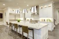 One Light Chandelier by Z-Lite - Katie Collection, Polished Nickel Finish - 6014-18PN