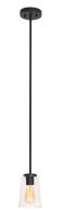 One Light Pendant by AFX Lighting - Joanna Collection, Textured Black Finish - JNNP05MBBK