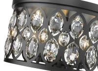 Five Light Flush Mount by Z-Lite - Dealey Collection, Matte Black Finish - 6010F18MB