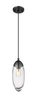 One Light Pendant by Z-Lite - Arden Collection, Matte Black Finish - 651P-MB