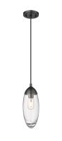 One Light Pendant by Z-Lite - Arden Collection, Matte Black Finish - 651P-MB