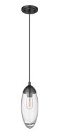 One Light Pendant by Z-Lite - Arden Collection, Matte Black Finish - 651P-MB