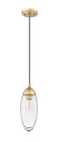 One Light Pendant by Z-Lite - Arden Collection, Rubbed Brass Finish - 651P-RB