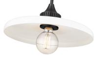 One Light Pendant by Z-Lite - Paloma Collection, Matte Black Finish - 820P14-MB