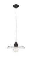 One Light Pendant by Z-Lite - Paloma Collection, Matte Black Finish - 821P14-MB
