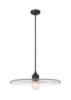 One Light Pendant by Z-Lite - Paloma Collection, Matte Black Finish - 821P24-MB