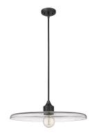 One Light Pendant by Z-Lite - Paloma Collection, Matte Black Finish - 821P24-MB