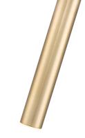 LED Pendant by Z-Lite - Forest Collection, Modern Gold Finish - 919MP12-MGLD-LED