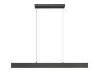 LED Linear Chandelier by Z-Lite - Hudson Collection, Matte Black Finish - 1016-45L-MB-LED