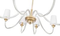 Eight Light Chandelier by Z-Lite - Katerina Collection, Rubbed Brass Finish - 1950-8RB