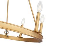 Eight Light Chandelier by Z-Lite - Barclay Collection, Rubbed Brass Finish - 482R-8RB