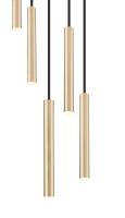 LED Chandelier by Z-Lite - Forest Collection, Modern Gold Finish - 919MP12-5R-MGLD-LED