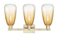 Three Light Bath Vanity by Innovations - Arcadia Collection, Antique Brass Finish - 716-3W-AB-G480-6AM