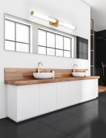 LED Vanity by Z-Lite - Egon Collection, Modern Gold Finish - 1015-40W-MGLD-LED
