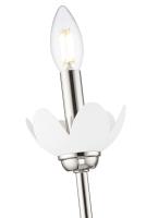 One Light Wall Sconce by Z-Lite - Allistair Collection, Polished Nickel Finish - 352-1S-PN