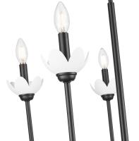 Five Light Chandelier by Z-Lite - Allistair Collection, Matte Black Finish - 352-5MB