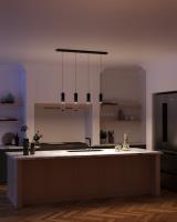 LED Pendant by Kuzco Lighting - Lena Collection, Black Finish - MP21703BK-04