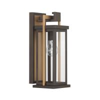 One Light Outdoor Wall Sconce by Crystorama - Lendel Collection, Twilight Bronze + Textured Gold Finish - LDL-901-TZ-TG