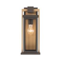 One Light Outdoor Wall Sconce by Crystorama - Lendel Collection, Twilight Bronze + Textured Gold Finish - LDL-901-TZ-TG