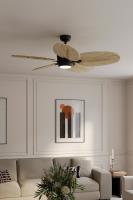 60" Ceiling Fan by Minka Aire - Portesa Collection, Coal Finish - F798L-CL/NPL
