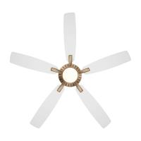 60" Ceiling Fan by Minka Aire - Dyno Collection, Brushed Brass Finish - F1001-BBR/ALW