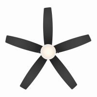 52" Ceiling Fan by Minka Aire - Airetor Collection, Brushed Brass Finish - F673L-BBR/CL