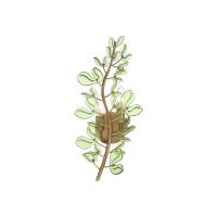 Two Light Wall Sconce by Crystorama - Bridget Collection, Soft Gold Finish - BGT-331-SG-GR